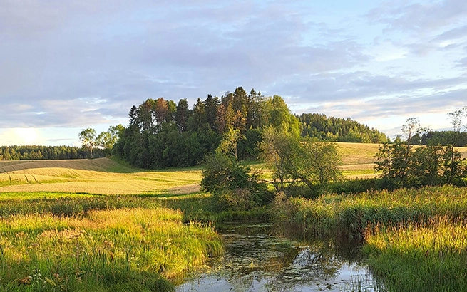 Alice Springs Desert